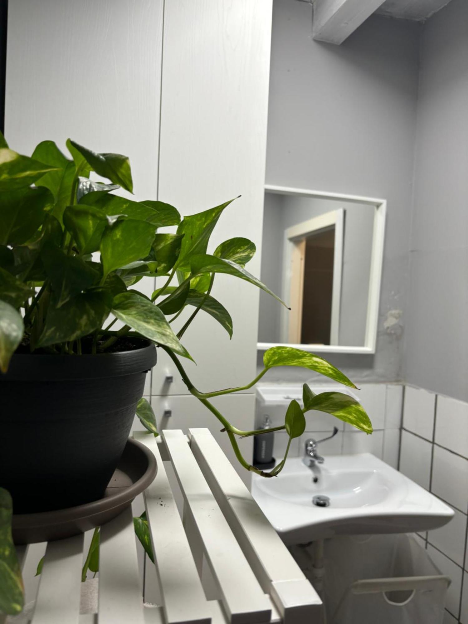 Bed & Breakfast Capitolium Ad Brescia